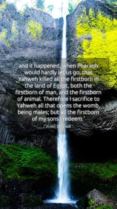 Picture 05 - Exodus 13:15 WEB Mobile Phone Wallpaper - and it happened, when Pharaoh would hardly let us - Mobile Bible Verse Wallpaper