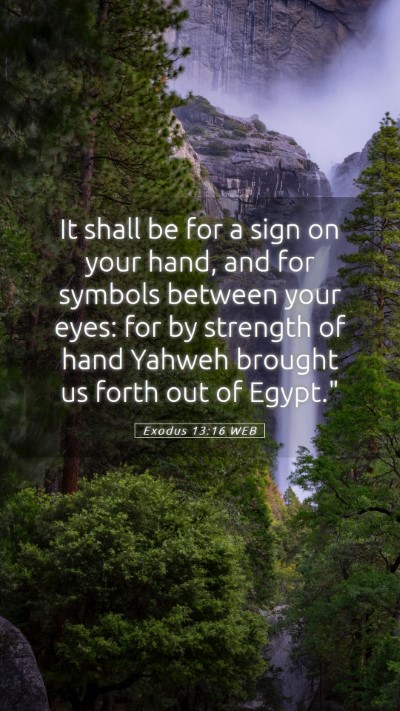 Picture 05 - Exodus 13:16 WEB Mobile Phone Wallpaper - It shall be for a sign on your hand, and for - Mobile Bible Verse Wallpaper