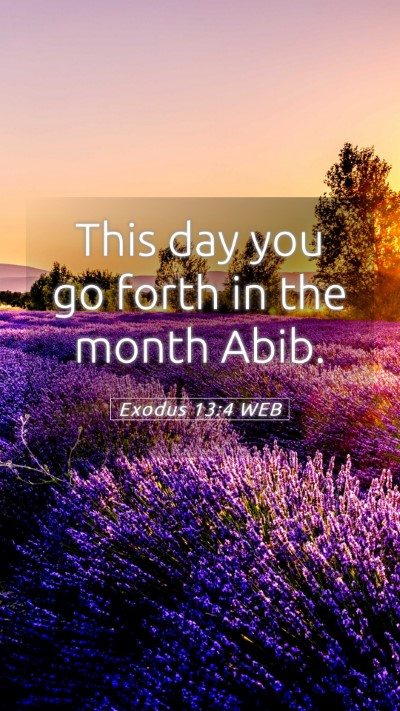 Picture 05 - Exodus 13:4 WEB Mobile Phone Wallpaper - This day you go forth in the month - Mobile Bible Verse Wallpaper