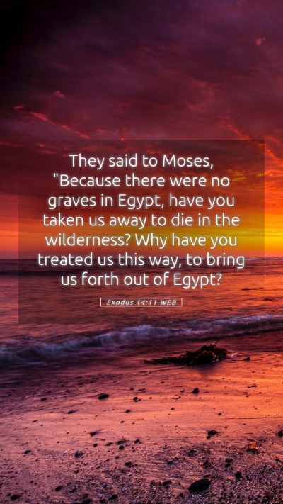 Picture 05 - Exodus 14:11 WEB Mobile Phone Wallpaper - They said to Moses, 