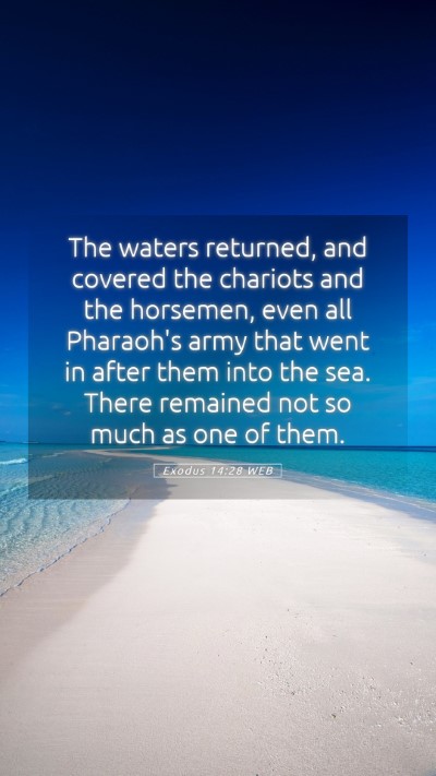 Picture 05 - Exodus 14:28 WEB Mobile Phone Wallpaper - The waters returned, and covered the chariots and - Mobile Bible Verse Wallpaper