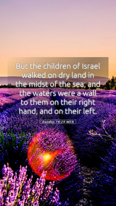 Picture 05 - Exodus 14:29 WEB Mobile Phone Wallpaper - But the children of Israel walked on dry land in - Mobile Bible Verse Wallpaper
