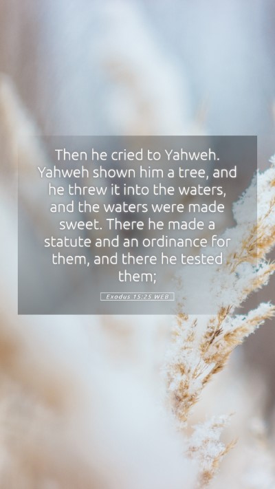 Picture 05 - Exodus 15:25 WEB Mobile Phone Wallpaper - Then he cried to Yahweh. Yahweh shown him a tree, - Mobile Bible Verse Wallpaper