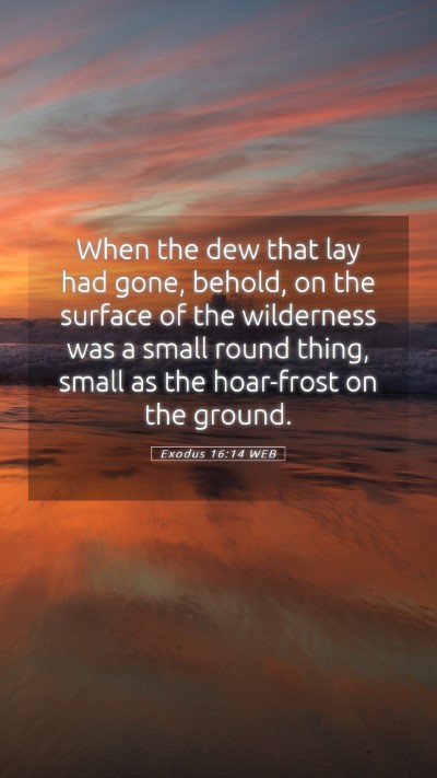 Picture 05 - Exodus 16:14 WEB Mobile Phone Wallpaper - When the dew that lay had gone, behold, on the - Mobile Bible Verse Wallpaper