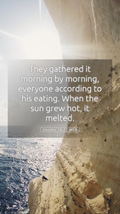 Picture 05 - Exodus 16:21 WEB Mobile Phone Wallpaper - They gathered it morning by morning, everyone - Mobile Bible Verse Wallpaper