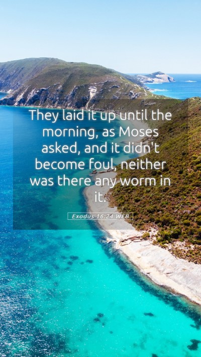 Picture 05 - Exodus 16:24 WEB Mobile Phone Wallpaper - They laid it up until the morning, as Moses - Mobile Bible Verse Wallpaper
