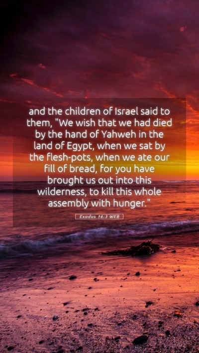 Picture 05 - Exodus 16:3 WEB Mobile Phone Wallpaper - and the children of Israel said to them, 