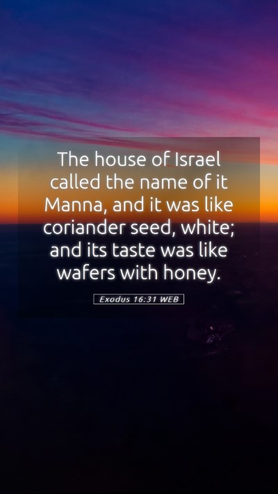 Picture 05 - Exodus 16:31 WEB Mobile Phone Wallpaper - The house of Israel called the name of it Manna, - Mobile Bible Verse Wallpaper