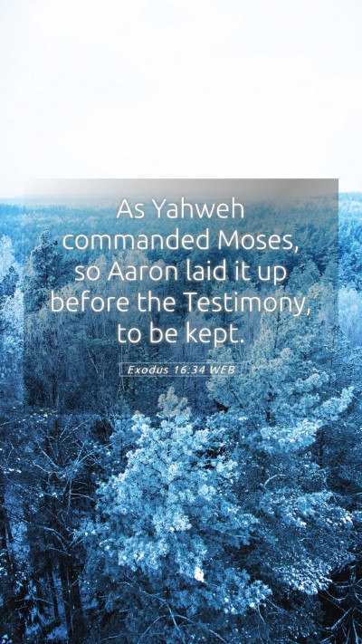 Picture 05 - Exodus 16:34 WEB Mobile Phone Wallpaper - As Yahweh commanded Moses, so Aaron laid it up - Mobile Bible Verse Wallpaper