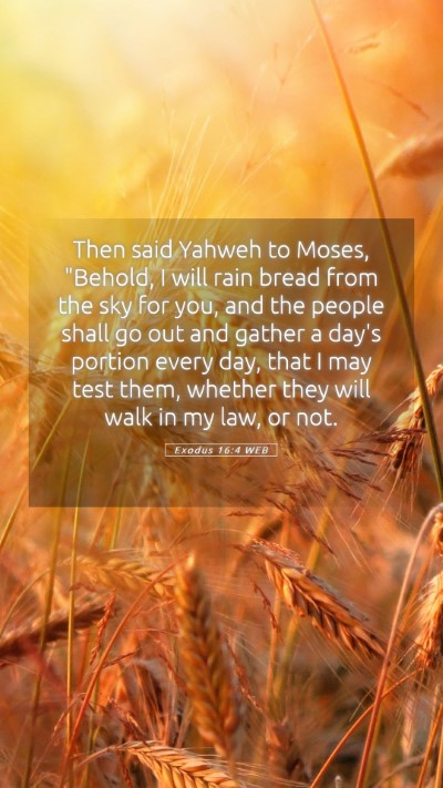Picture 05 - Exodus 16:4 WEB Mobile Phone Wallpaper - Then said Yahweh to Moses, 