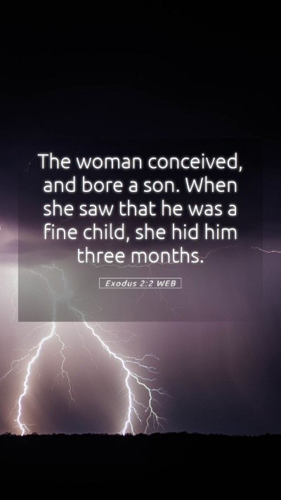 Picture 05 - Exodus 2:2 WEB Mobile Phone Wallpaper - The woman conceived, and bore a son. When she saw - Mobile Bible Verse Wallpaper