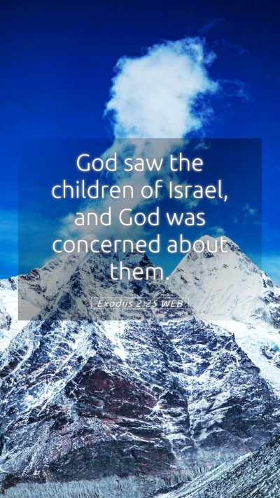 Picture 05 - Exodus 2:25 WEB Mobile Phone Wallpaper - God saw the children of Israel, and God was - Mobile Bible Verse Wallpaper