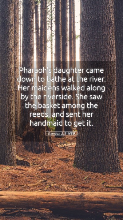 Picture 05 - Exodus 2:5 WEB Mobile Phone Wallpaper - Pharaoh's daughter came down to bathe at the - Mobile Bible Verse Wallpaper