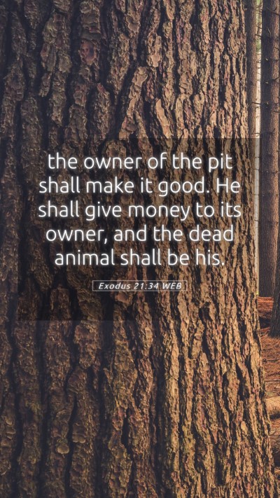 Picture 05 - Exodus 21:34 WEB Mobile Phone Wallpaper - the owner of the pit shall make it good. He shall - Mobile Bible Verse Wallpaper