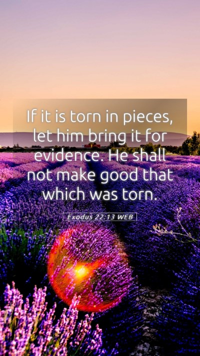 Picture 05 - Exodus 22:13 WEB Mobile Phone Wallpaper - If it is torn in pieces, let him bring it for - Mobile Bible Verse Wallpaper