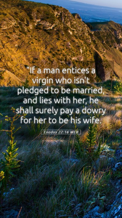 Picture 05 - Exodus 22:16 WEB Mobile Phone Wallpaper - 