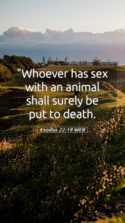 Picture 05 - Exodus 22:19 WEB Mobile Phone Wallpaper - 
