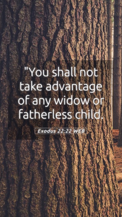 Picture 05 - Exodus 22:22 WEB Mobile Phone Wallpaper - 