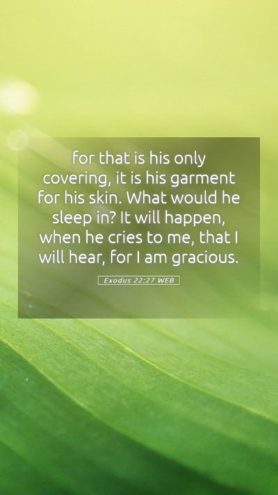 Picture 05 - Exodus 22:27 WEB Mobile Phone Wallpaper - for that is his only covering, it is his garment - Mobile Bible Verse Wallpaper