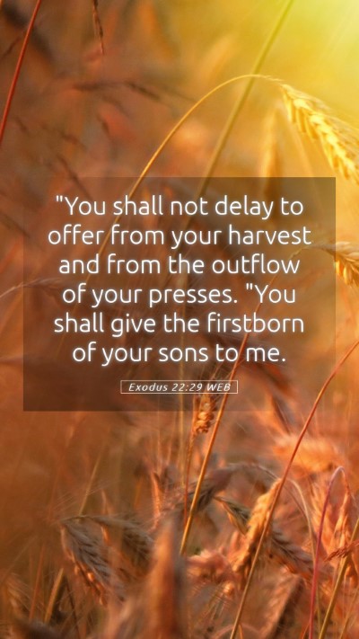 Picture 05 - Exodus 22:29 WEB Mobile Phone Wallpaper - 