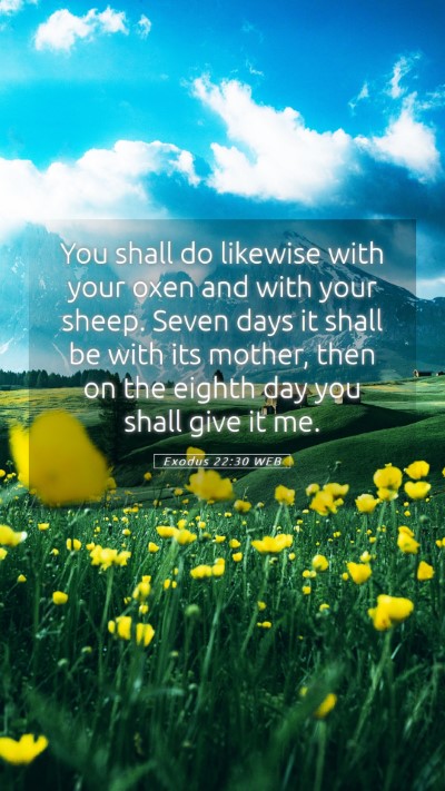 Picture 05 - Exodus 22:30 WEB Mobile Phone Wallpaper - You shall do likewise with your oxen and with - Mobile Bible Verse Wallpaper