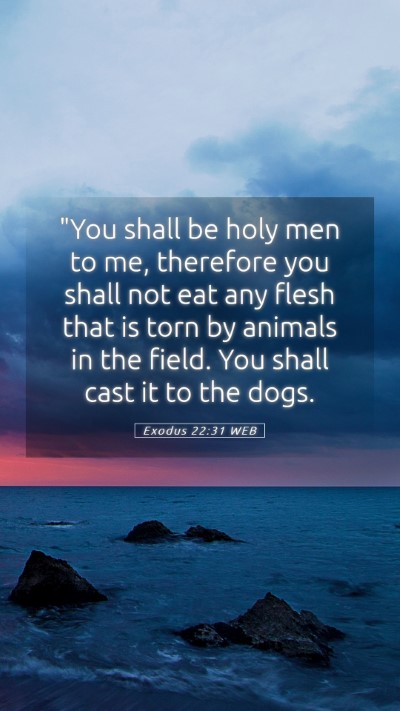 Picture 05 - Exodus 22:31 WEB Mobile Phone Wallpaper - 