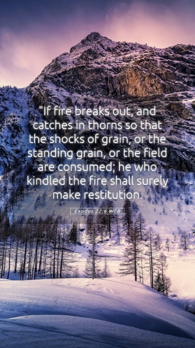 Picture 05 - Exodus 22:6 WEB Mobile Phone Wallpaper - 