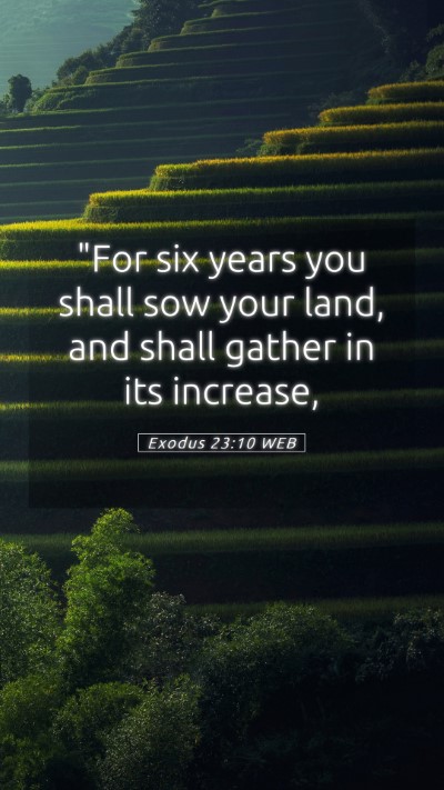 Picture 05 - Exodus 23:10 WEB Mobile Phone Wallpaper - 