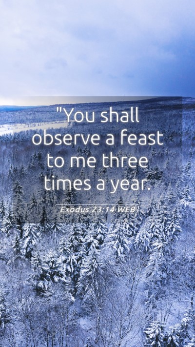 Picture 05 - Exodus 23:14 WEB Mobile Phone Wallpaper - 