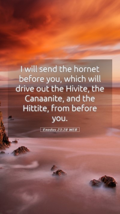 Picture 05 - Exodus 23:28 WEB Mobile Phone Wallpaper - I will send the hornet before you, which will - Mobile Bible Verse Wallpaper