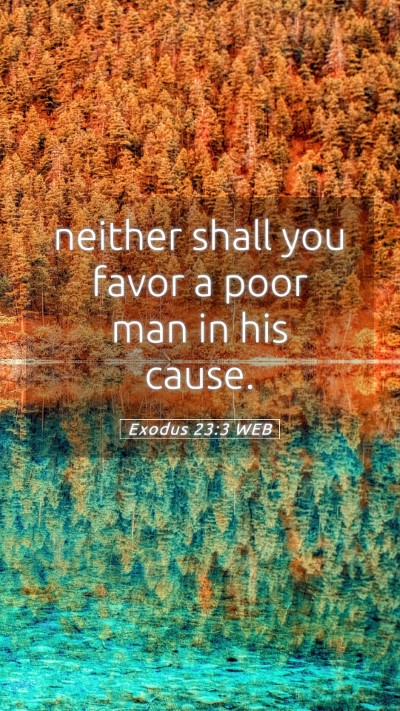 Picture 05 - Exodus 23:3 WEB Mobile Phone Wallpaper - neither shall you favor a poor man in his - Mobile Bible Verse Wallpaper