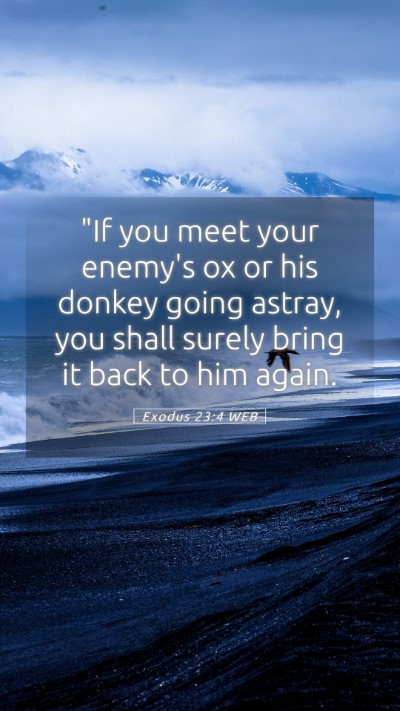 Picture 05 - Exodus 23:4 WEB Mobile Phone Wallpaper - 