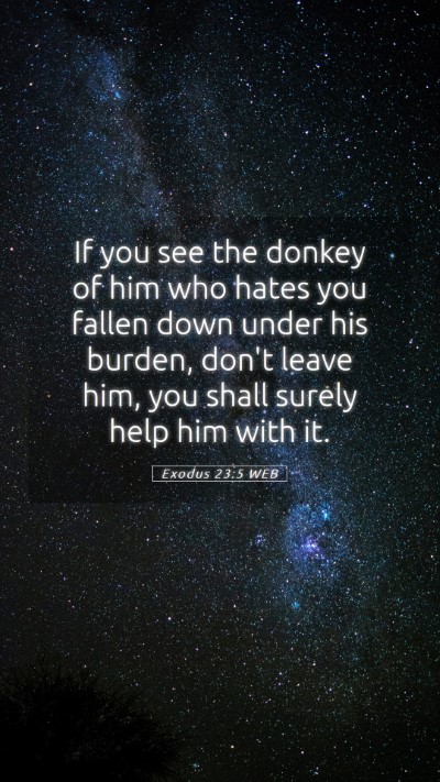 Picture 05 - Exodus 23:5 WEB Mobile Phone Wallpaper - If you see the donkey of him who hates you fallen - Mobile Bible Verse Wallpaper