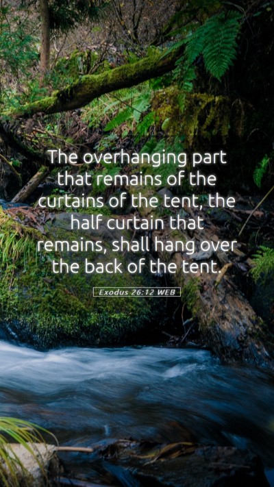 Picture 05 - Exodus 26:12 WEB Mobile Phone Wallpaper - The overhanging part that remains of the curtains - Mobile Bible Verse Wallpaper