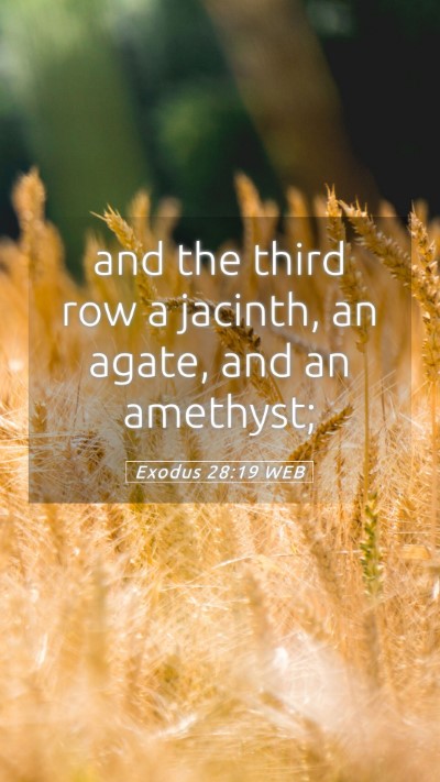 Picture 05 - Exodus 28:19 WEB Mobile Phone Wallpaper - and the third row a jacinth, an agate, and an - Mobile Bible Verse Wallpaper