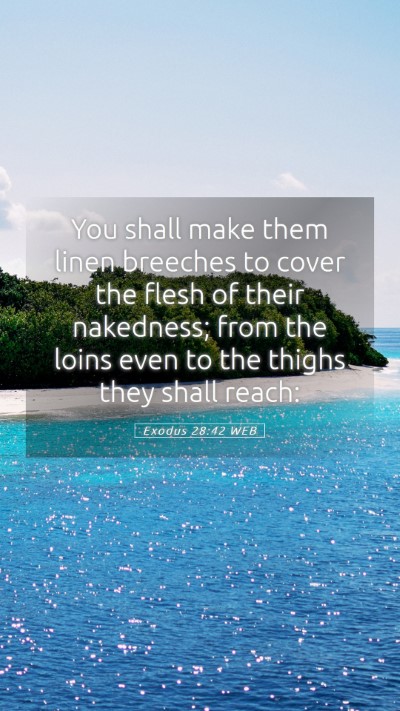 Picture 05 - Exodus 28:42 WEB Mobile Phone Wallpaper - You shall make them linen breeches to cover the - Mobile Bible Verse Wallpaper