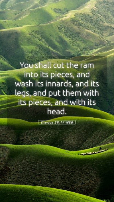 Picture 05 - Exodus 29:17 WEB Mobile Phone Wallpaper - You shall cut the ram into its pieces, and wash - Mobile Bible Verse Wallpaper