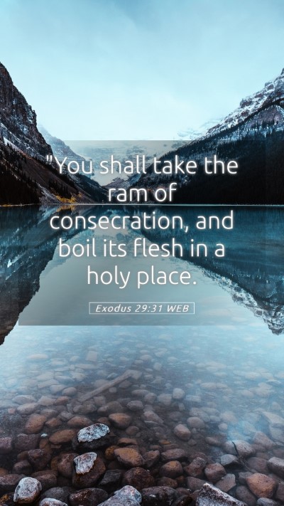 Picture 05 - Exodus 29:31 WEB Mobile Phone Wallpaper - 