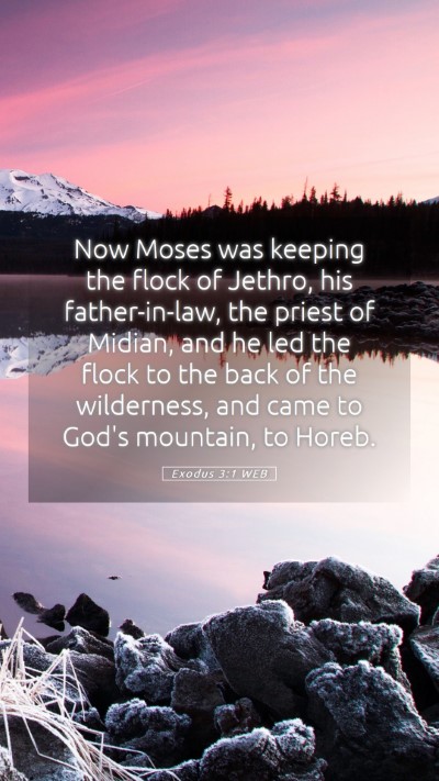 Picture 05 - Exodus 3:1 WEB Mobile Phone Wallpaper - Now Moses was keeping the flock of Jethro, his - Mobile Bible Verse Wallpaper