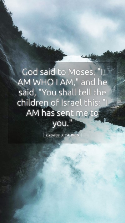 Picture 05 - Exodus 3:14 WEB Mobile Phone Wallpaper - God said to Moses, 