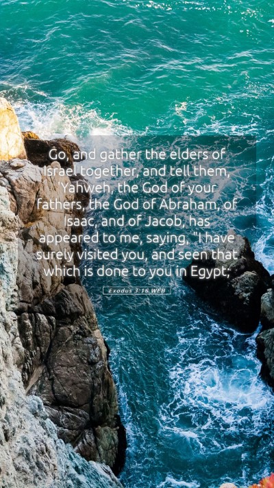 Picture 05 - Exodus 3:16 WEB Mobile Phone Wallpaper - Go, and gather the elders of Israel together, and - Mobile Bible Verse Wallpaper