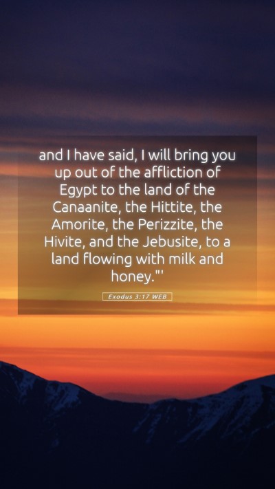 Picture 05 - Exodus 3:17 WEB Mobile Phone Wallpaper - and I have said, I will bring you up out of the - Mobile Bible Verse Wallpaper