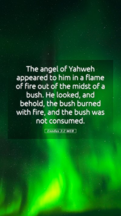 Picture 05 - Exodus 3:2 WEB Mobile Phone Wallpaper - The angel of Yahweh appeared to him in a flame of - Mobile Bible Verse Wallpaper