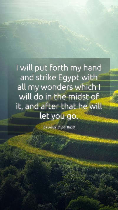 Picture 05 - Exodus 3:20 WEB Mobile Phone Wallpaper - I will put forth my hand and strike Egypt with - Mobile Bible Verse Wallpaper