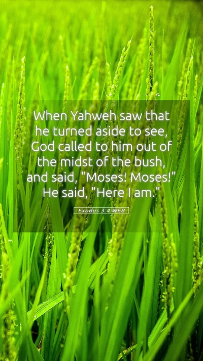 Picture 05 - Exodus 3:4 WEB Mobile Phone Wallpaper - When Yahweh saw that he turned aside to see, God - Mobile Bible Verse Wallpaper