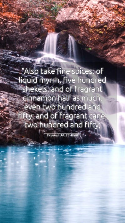 Picture 05 - Exodus 30:23 WEB Mobile Phone Wallpaper - 