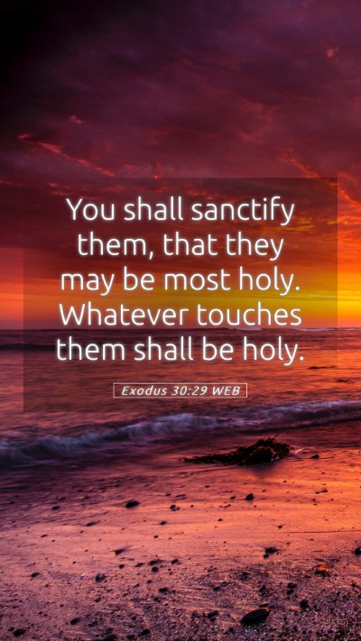 Picture 05 - Exodus 30:29 WEB Mobile Phone Wallpaper - You shall sanctify them, that they may be most - Mobile Bible Verse Wallpaper