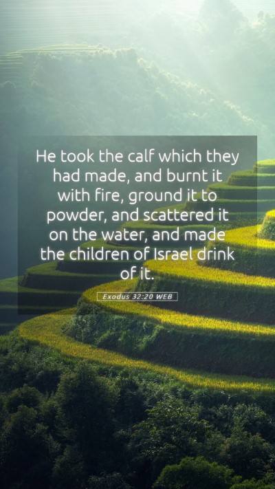 Picture 05 - Exodus 32:20 WEB Mobile Phone Wallpaper - He took the calf which they had made, and burnt - Mobile Bible Verse Wallpaper