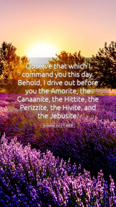 Picture 05 - Exodus 34:11 WEB Mobile Phone Wallpaper - Observe that which I command you this day. - Mobile Bible Verse Wallpaper