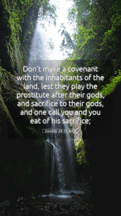 Picture 05 - Exodus 34:15 WEB Mobile Phone Wallpaper - Don't make a covenant with the inhabitants of the - Mobile Bible Verse Wallpaper